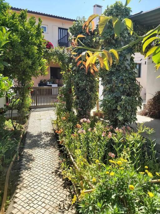 شقة Casa Alegria - The Orangery تومار المظهر الخارجي الصورة